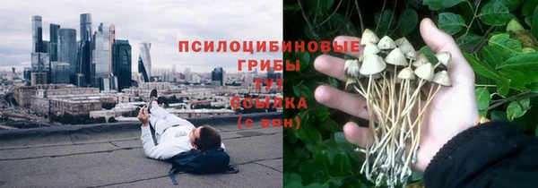дмт Абинск