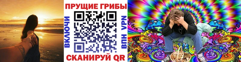 нарко площадка клад  Миллерово  Галлюциногенные грибы Magic Shrooms 