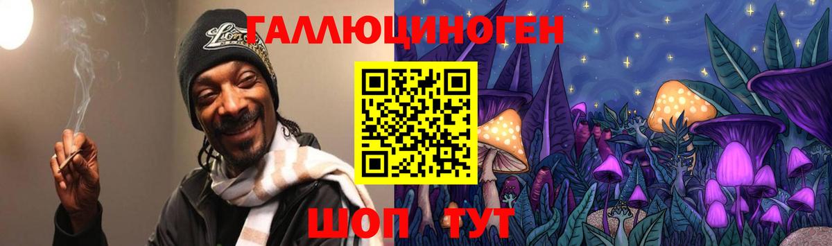 Псилоцибиновые грибы Psilocybine cubensis  Галлюциногенные грибы мицелий  Миллерово  Вход с VPN 