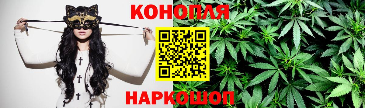 Марихуана сатива Миллерово